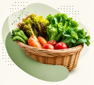 Seasonal Gardening Tips for a Healthy and Colorful Garden